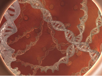 4. kép: Biológiai kommunikáció (Mikroszkópikus felvétel egy DNS-ről)